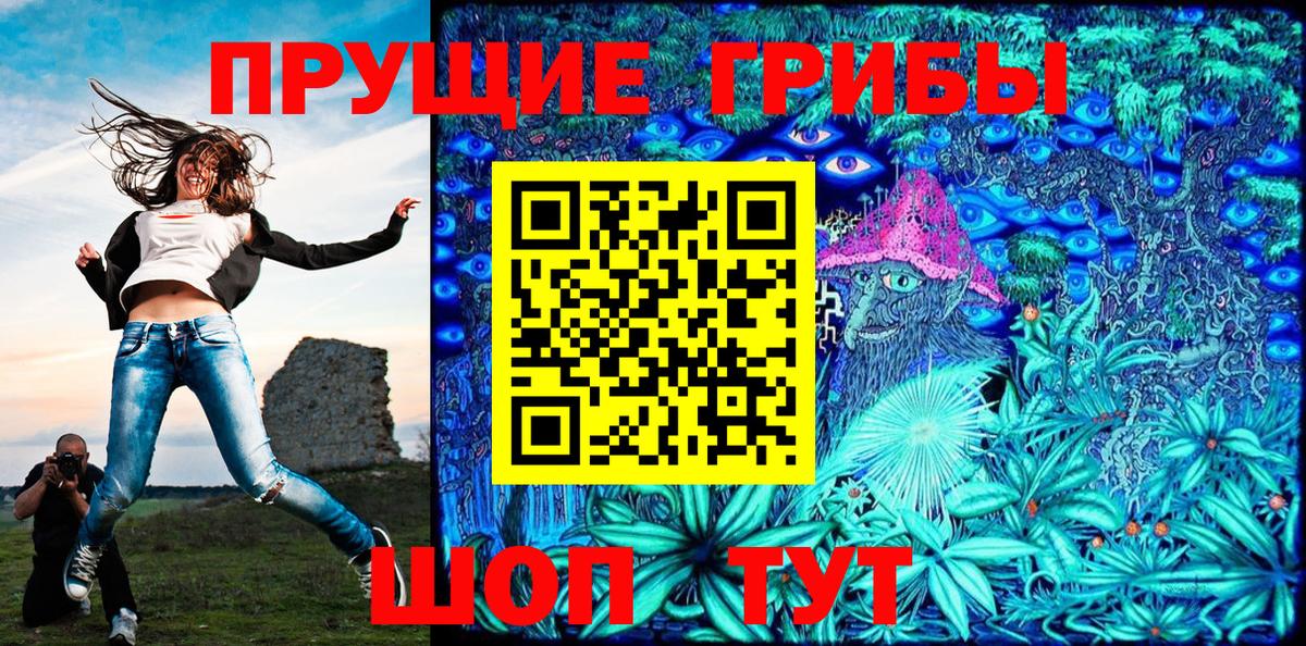 Псилоцибиновые грибы Psilocybe  Вход с VPN  Аргун  Галлюциногенные грибы Magic Shrooms 