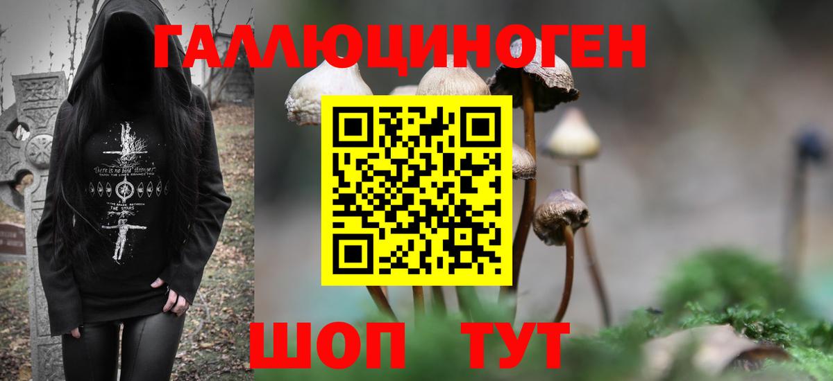 Псилоцибиновые грибы Psilocybe Аргун